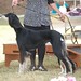 Deborah Ratliff Photo 10