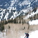 Matt Parmer Photo 13