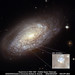 Stephen Hubble Photo 10
