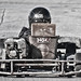 Jeremy Bradford Photo 25