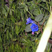 Mary Beal Photo 6