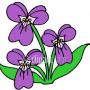 Mary Broderick Photo 47