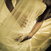 Andrew Schuster Photo 43