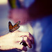 Michelle Bell Photo 42