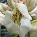 Phyllis Anderson Photo 38