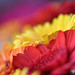 Andreas Schuster Photo 10