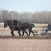 Tom Wold Photo 27