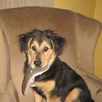 Susan Mclendon Photo 8
