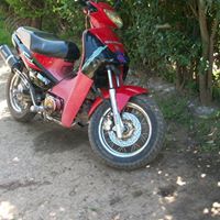 Graciela Rosales Photo 20