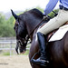 Paula Camarillo Photo 8