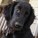 Mary Mckenzie Photo 5