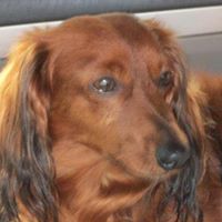 Bert Sweet Photo 1