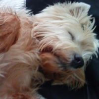 Janice Aldridge Photo 9