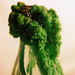 Crystal Green Photo 9