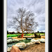 Ana Park Photo 28