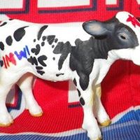 Jo Moo Photo 3