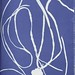 Anna Atkins Photo 36
