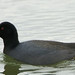 Grace Coots Photo 10