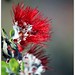 Mona Love Photo 29