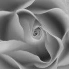 Debra Baker Photo 16