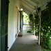 Alice Austin Photo 10