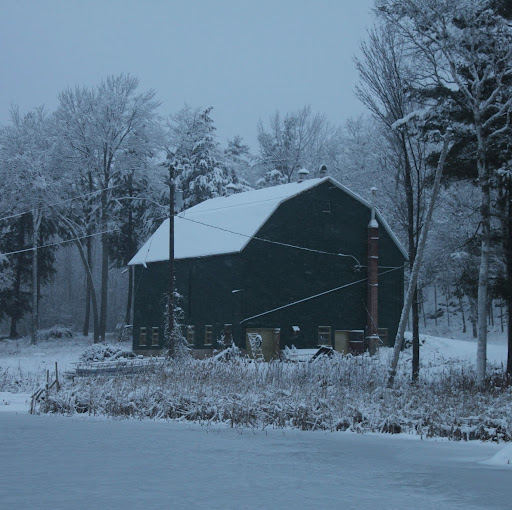 Tyler Mills Photo 30