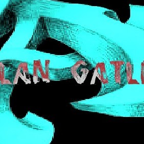 Alan Gatlin Photo 5