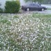 Matthew Parmer Photo 9