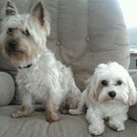 Stacy Barker Photo 34