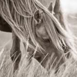 Anna Carden Photo 7