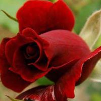 Tina Agarwal Photo 11