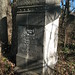 Thomas Merritt Photo 11