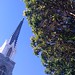 Denise Spires Photo 9