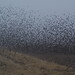 Doug Dougherty Photo 26