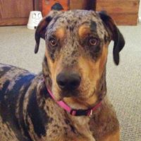 Debra Boyce Photo 28