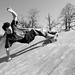 Lynn Merrell Photo 8