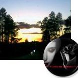 Raymond Bonner Photo 7