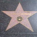 Mary Leachman Photo 8