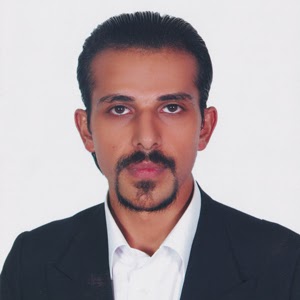 Reza Mehran Photo 13