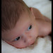 Sue Parker Photo 10