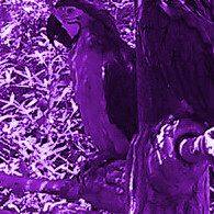 Judith Young Photo 25