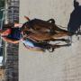 Heather Daniels Photo 19