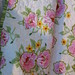 Jane Bailey Photo 5