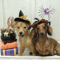 Kathy Bridges Photo 3