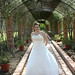 Alison Wells Photo 11