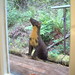 Glen Miles Photo 32
