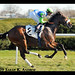 Michael Barbaro Photo 29