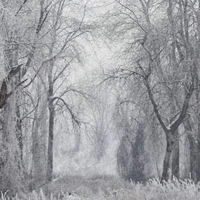 Marty Wood Photo 15
