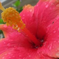 Abby Miller Photo 22