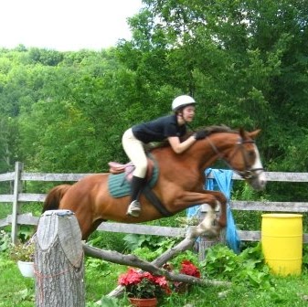 Sarah Hummel Photo 14